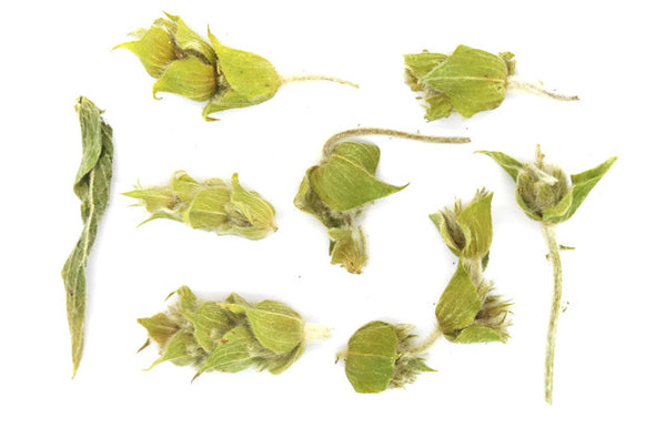 The Tea Route Griechischer BIO Bergtee (Sideritis Siriaca)