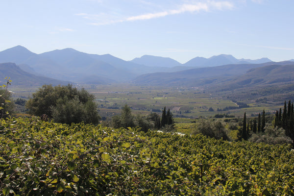 Nemea Region auf der Peloponnes